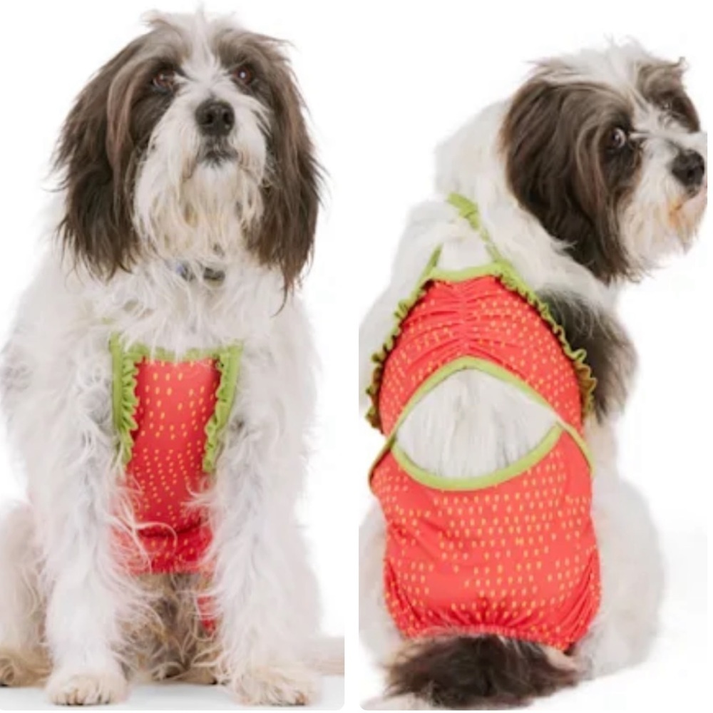 NWT strawberry dog swim bathing suit XS